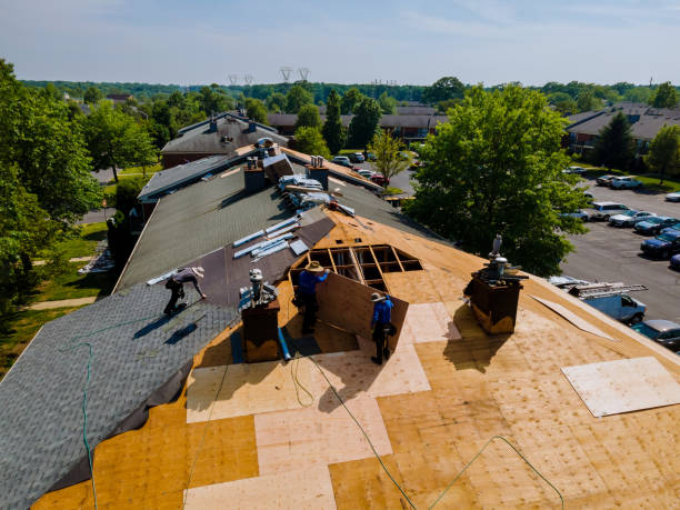 Best Local Roofing Companies  in Deerwood, TX