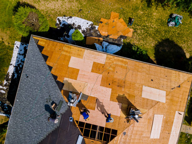 Best Roof Inspection Near Me  in Deerwood, TX