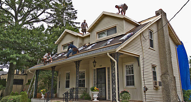 Best Roof Gutter Cleaning  in Deerwood, TX